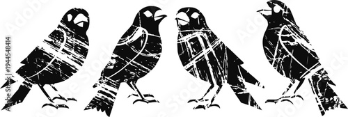 Four black grunge birds silhouettes standing in a row, distressed texture design