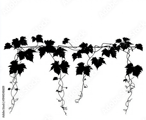 wine silhouette , black and...