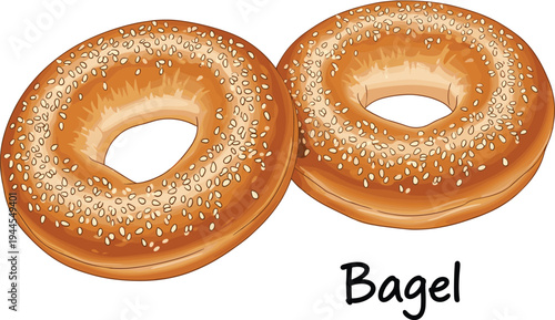 Sesame bagel bread illustration, baked breakfast bakery food with sesame seeds, realistic bagel pair vector isolated on white background