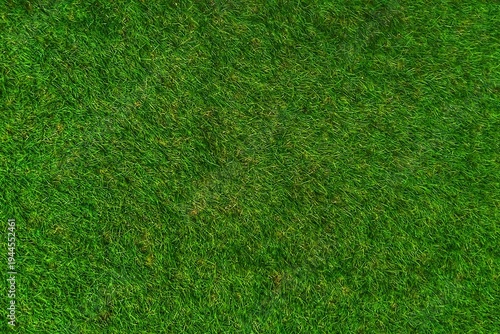Lush green grass texture background, top view of fresh natural lawn field.