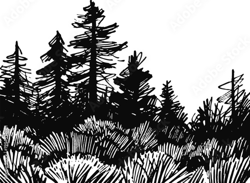 Hand drawn forest landscape with pine trees and dense bushes silhouette in black and white