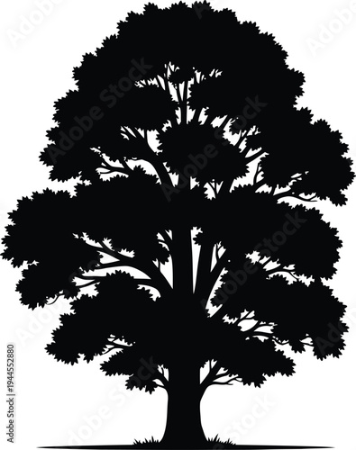 Majestic Elm Tree Silhouette Black and White Vector Art