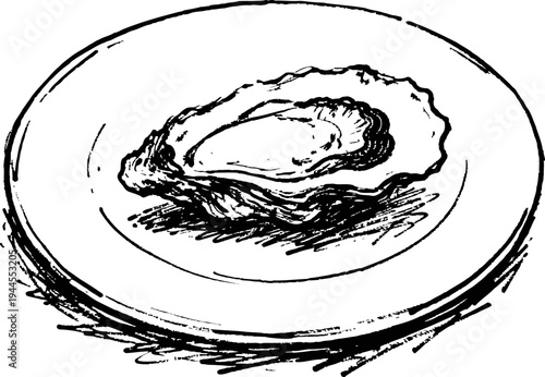 Single oyster shell on a simple round plate hand drawn vintage seafood illustration