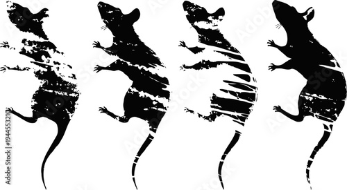 Silhouette progression of a rat in motion showing four stages in black and white