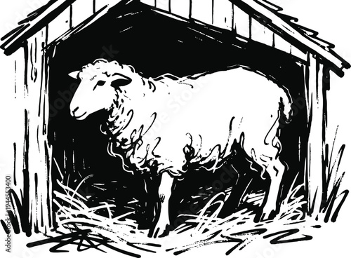 Sheep standing inside wooden barn shelter with hay on the floor black and white illustration