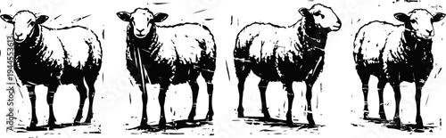 black and white silhouettes of four sheep standing in a row with textured fur details