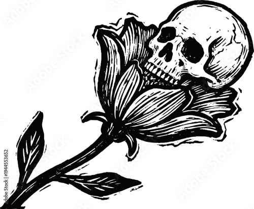 Black and white illustration of a rose with a human skull as the flower head symbolizing mortality