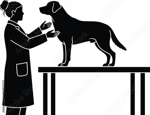 Veterinarian silhouette examining dog on table featuring female doctor caring for pet in clinic for medical health and veterinary services