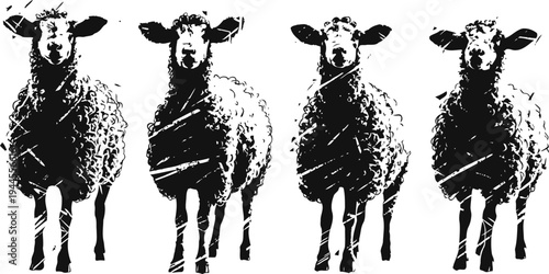 Four black and white sheep standing side by side, textured wool pattern, farm animals in silhouette