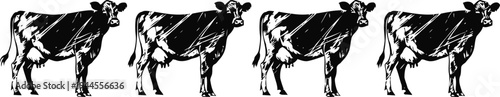 four black and white cows standing in a row, farm livestock illustration, rural agricultural animals