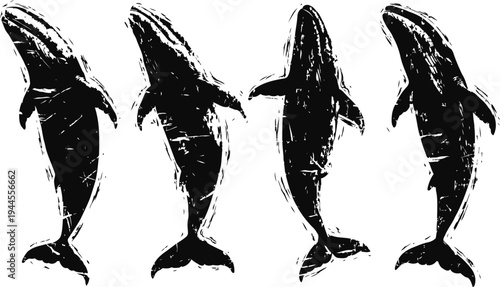 Four black silhouettes of whales facing different directions with textured rough edges