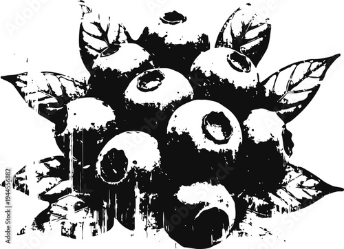 black and white blueberries cluster with leaves hand drawn sketch, organic fruit design, natural healthy nutrition concept