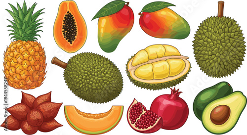 Tropical fruit collection including pineapple papaya mango durian avocado pomegranate melon and salak colorful fresh exotic fruit vector illustration set