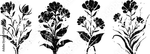 vintage botanical ink illustrations of flowering plants with leaves and buds set in black silhouette