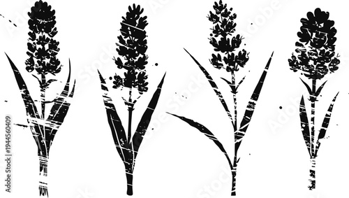 Four black silhouette millet plants with grain heads and elongated leaves isolated on white background