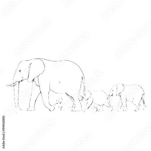 Elephant Family Walking Line Art on White Background