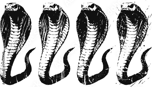 Four black and white cobra illustrations with raised hoods, detailed snake drawings in vintage