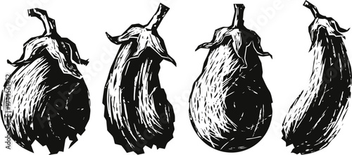 Hand drawn eggplants set vintage engraved vegetables botanical illustration of garden produce