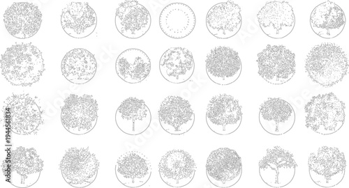 Collection of black and white line tree views and side views trees outline