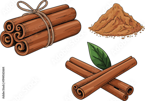 Cinnamon sticks bundle powder and leaf aromatic spice ingredient illustration isolated for cooking baking seasoning concept