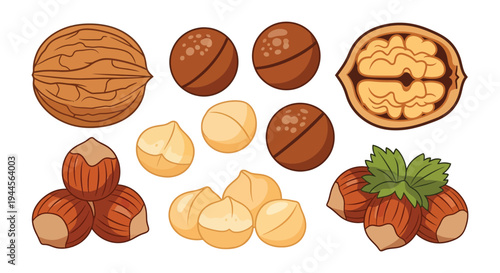 Assorted nuts displayed in a colorful illustrative arrangement