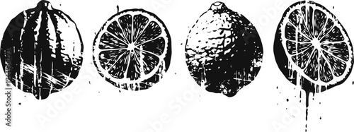 Vintage citrus fruit illustrations with whole and sliced lemons and oranges in black ink