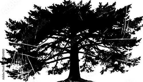 large sprawling tree silhouette with dense branches and foliage against white background
