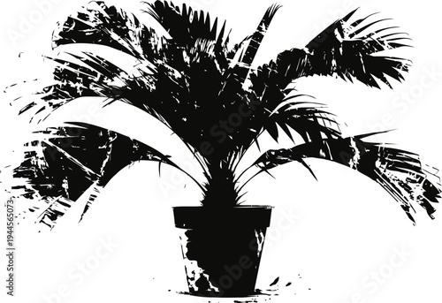 Indoor potted palm plant with large arching leaves, tropical houseplant silhouette in a container