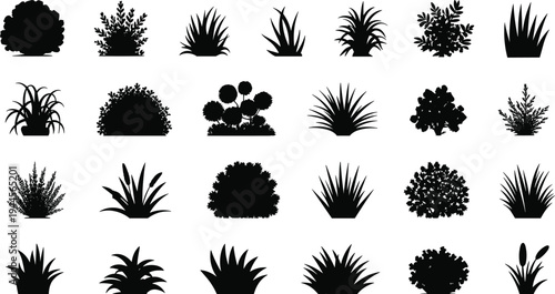 Collection of black silhouette of various plants and shrubs on a white background