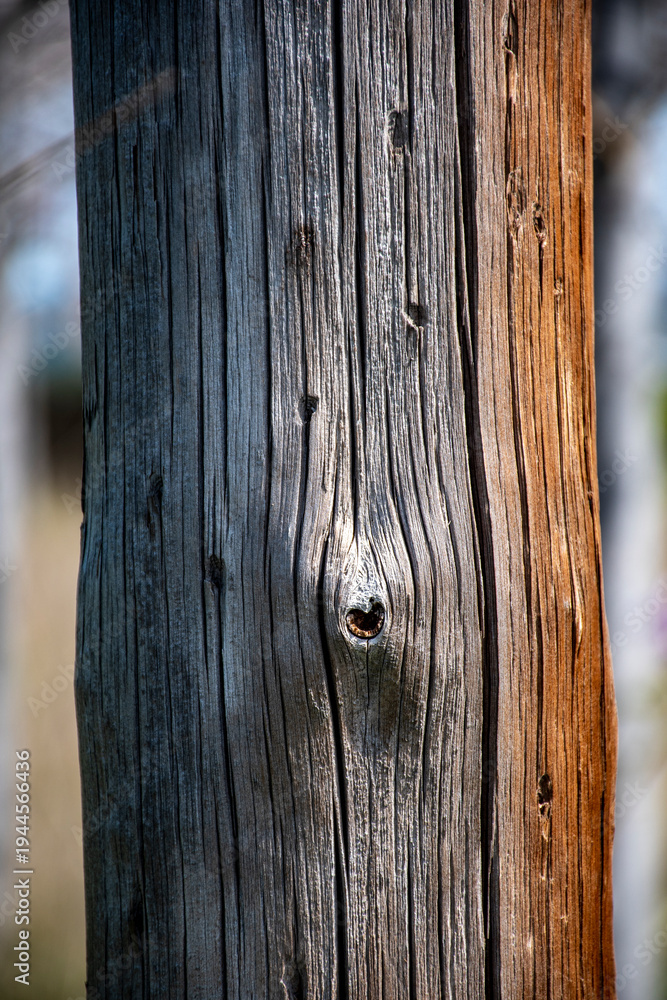 custom made wallpaper toronto digitalAntiguos postes de teléfonos, poste de madera