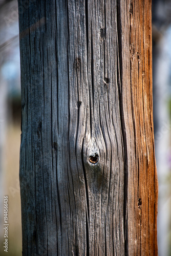 Wallpaper Mural Antiguos postes de teléfonos, poste de madera Torontodigital.ca
