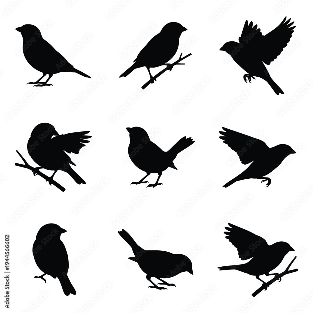 Fototapeta premium Set of Sparrow and Small Bird Silhouettes in Various Poses