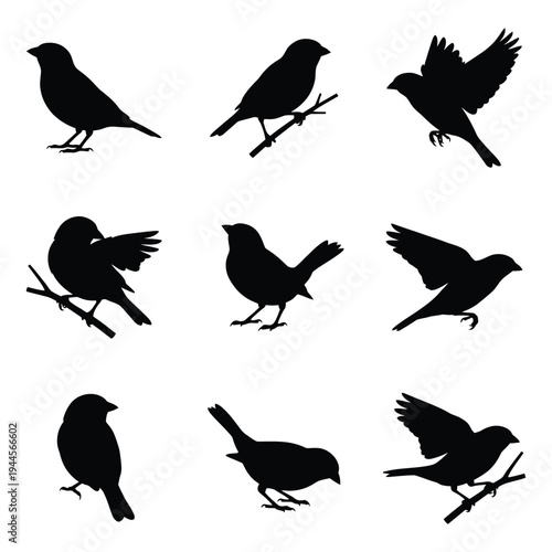 Set of Sparrow and Small Bird Silhouettes in Various Poses