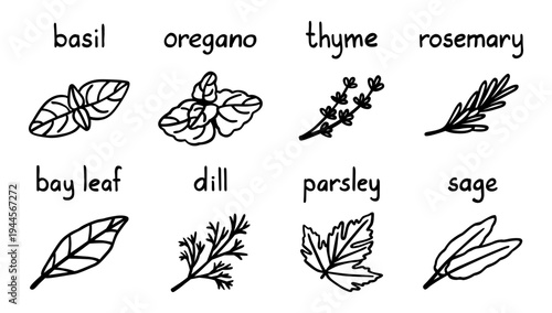 Herb icon set, cooking plant seasoning
