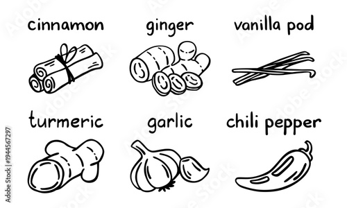 Spice ingredient icon set, cooking seasoning