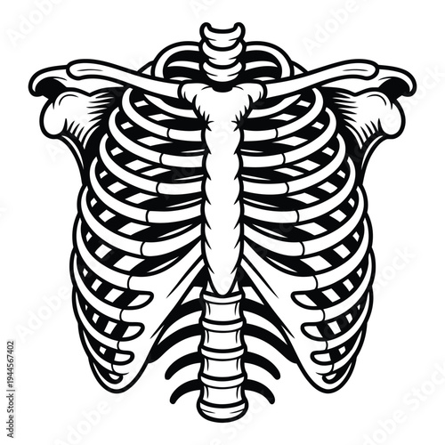 Human rib cage skeleton illustration, anatomical drawing, black and white, skeletal system, thoracic cage