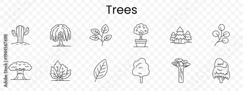 Trees set icon. Minimal outline plants, cactus, weeping tree, twig leaves, potted tree, forest group, branch buds, broad canopy, bushes, leaf, round crown tree, trunk mushrooms, conifer crown.