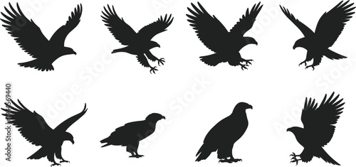 Eagle silhouette collection isolated on white background, flying and perched bird of prey set with spread wings, wildlife raptor illustration