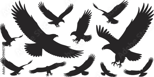 Flying eagle silhouette collection isolated on white background, bird of prey raptor set with spread wings, wildlife predator birds soaring illustration