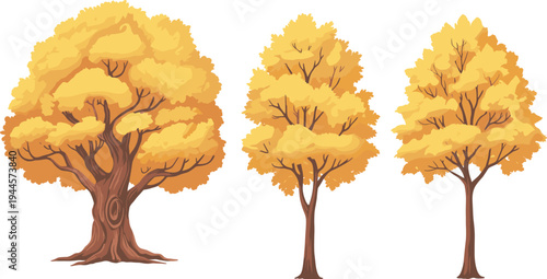 Three Yellow Autumn Trees with Brown Trunks and Branches on a White Background three trees yellow leaves
