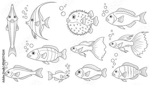Diverse collection of fish species including pufferfish and angelfish line art drawings for marine biology or coloring activities.