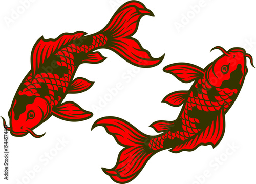 vector illustration of an illustration of a red fish