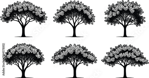 Detailed black leafy tree silhouette collection with isolated oak and deciduous trees for garden landscape design and vector nature illustration
