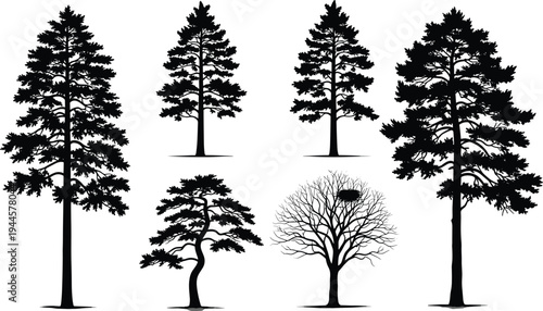 Black pine tree silhouette collection with conifer and bare winter tree isolated on white background for forest nature landscape design
