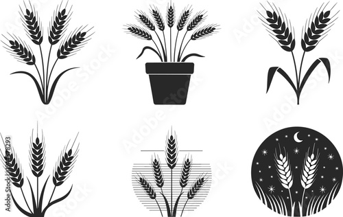 Six black and white of wheat stalks in various settings and styles potted plant