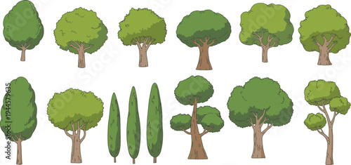 Various Types of Green Trees with Different Shapes and Sizes on White Background nature leaves branches