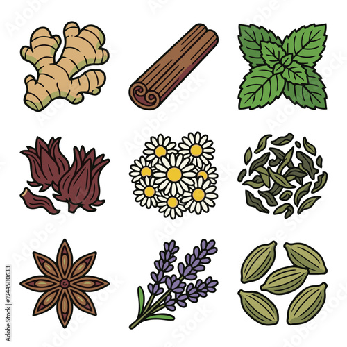 Botanical Tea Ingredient Series