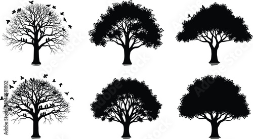 Set of Tree Silhouettes with Birds, Bare Winter Branches and Full Leafy Summer Canopies, Nature Vector Illustration, Landscape Design Elements,