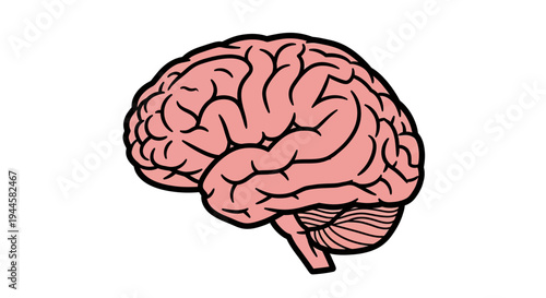 Stylized Human Brain Illustration Representing Complex Thought, Intelligence, Memory, and Cognitive Processes in a Modern Vector Graphic Style