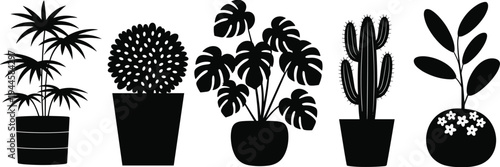 Five black and white potted plants including a palm, a round bush, a leafy plant, a cactus, and a flowering plant